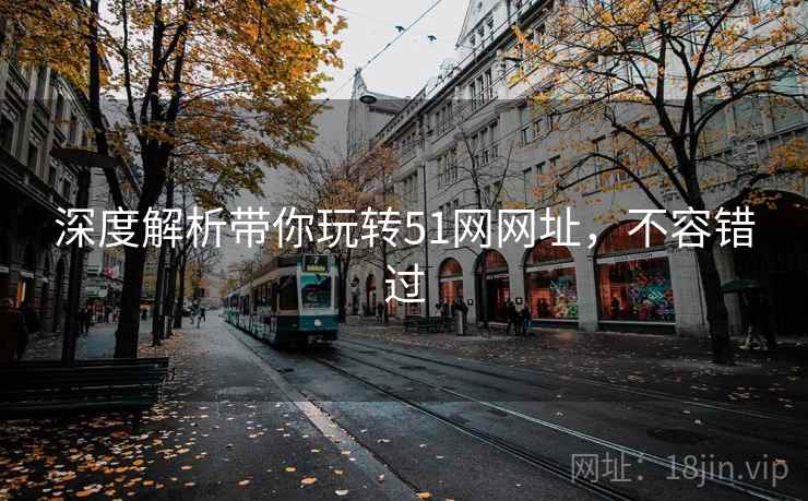 深度解析带你玩转51网网址，不容错过