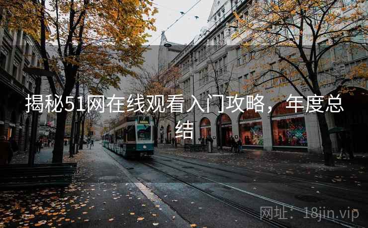 揭秘51网在线观看入门攻略，年度总结