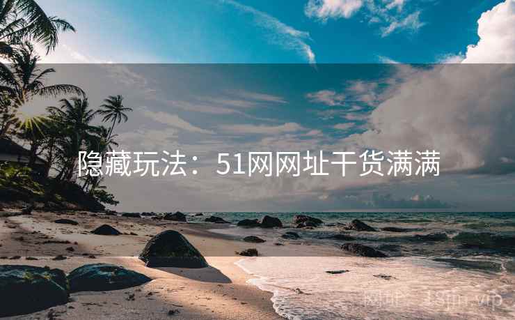 隐藏玩法：51网网址干货满满