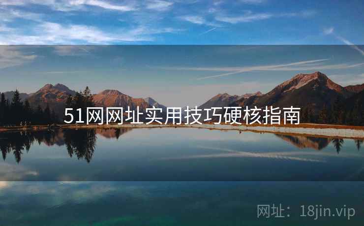 51网网址实用技巧硬核指南