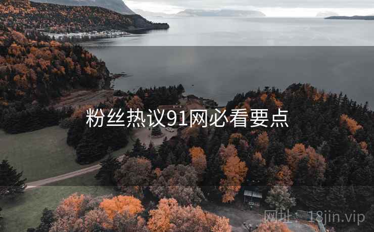 粉丝热议91网必看要点